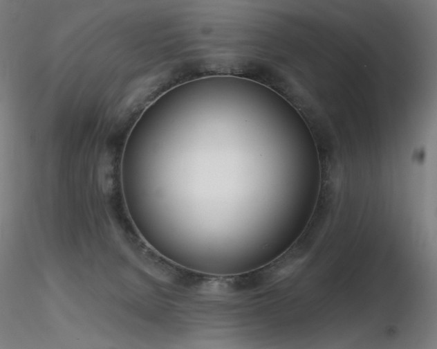 X0000116810080200912181354