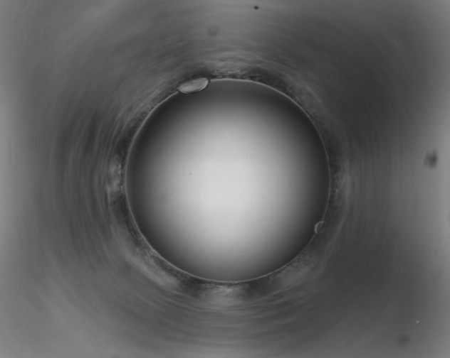 X0000116810081200912181354