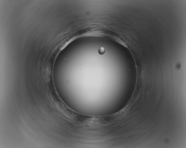 X0000116810082200912181354