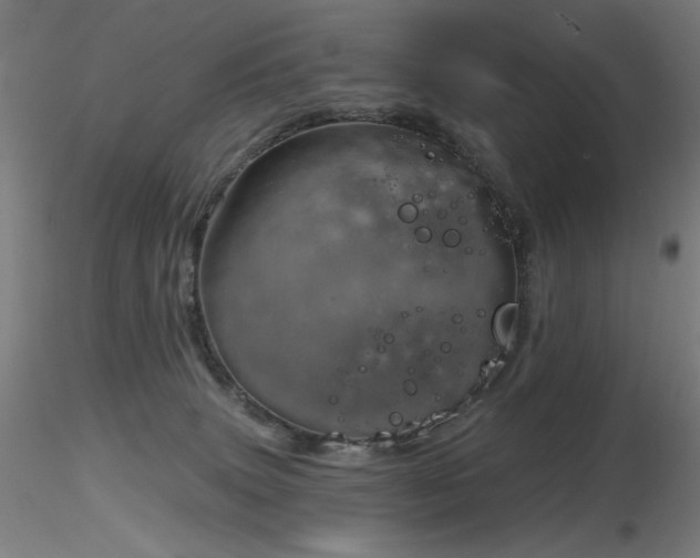 X0000116810083200912181354