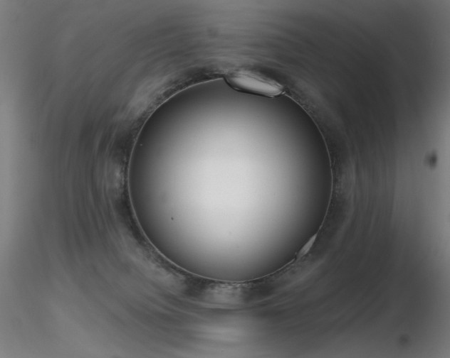 X0000116810084200912181354