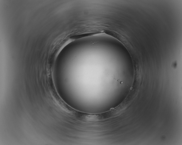 X0000116810085200912181354