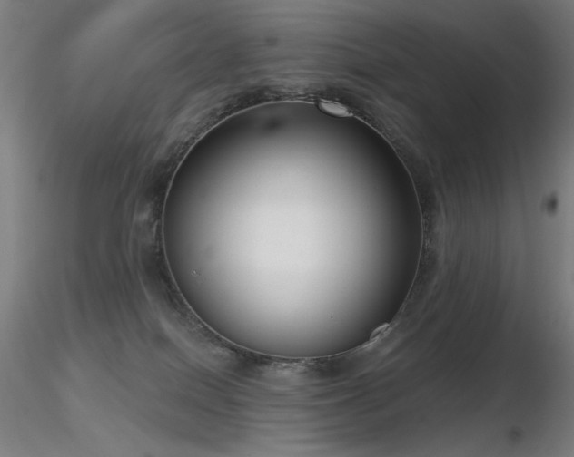 X0000116810086200912181354