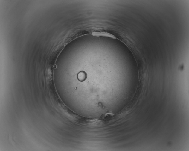 X0000116810087200912181354