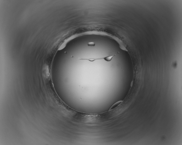 X0000116810089200912181354