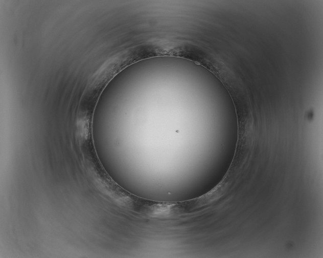 X0000116810090200912181354