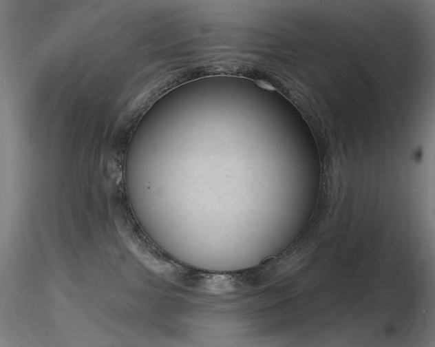 X0000116810091200912181354