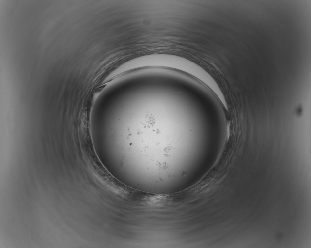 X0000116810092200912181355