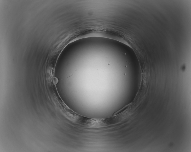 X0000116810093200912181355