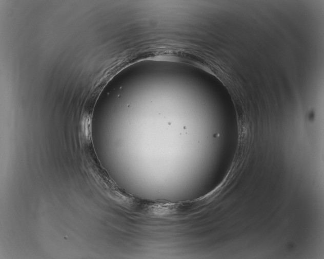 X0000116810094200912181355