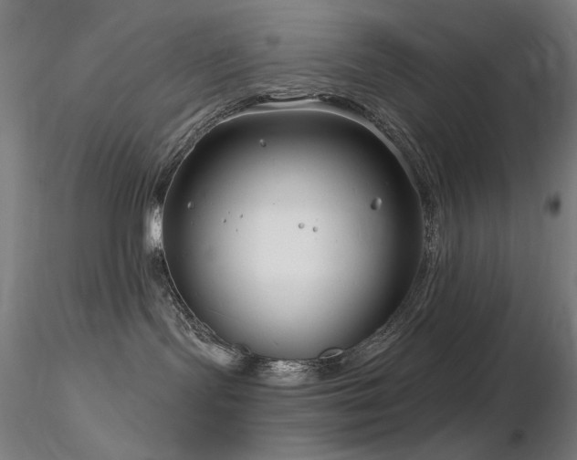 X0000116810095200912181355