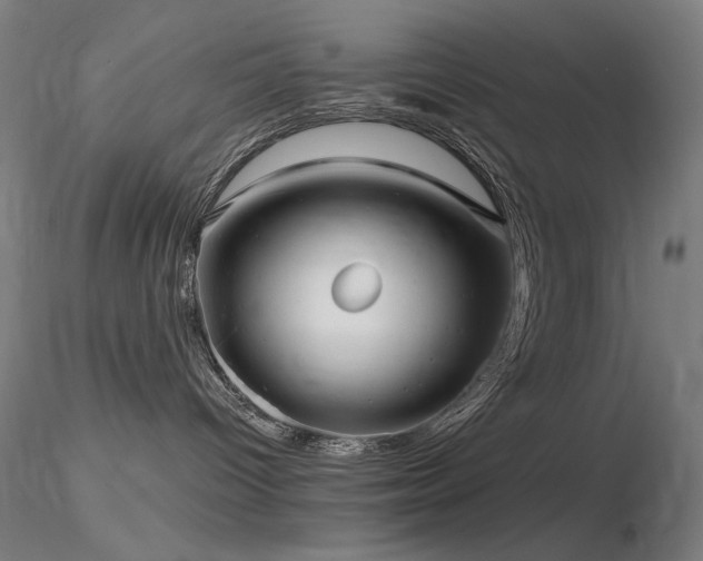 X0000116810096200912181355