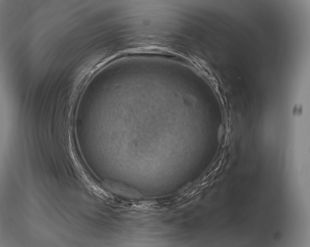 X0000116810097200912181354