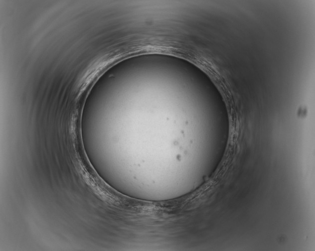 X0000116810098200912181354