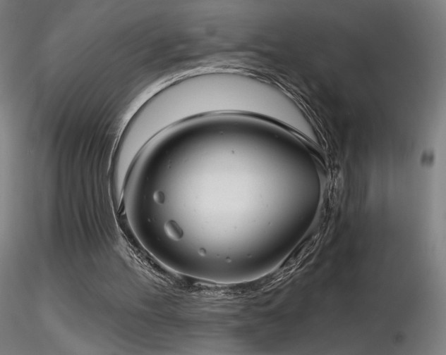 X0000116810100200912181354