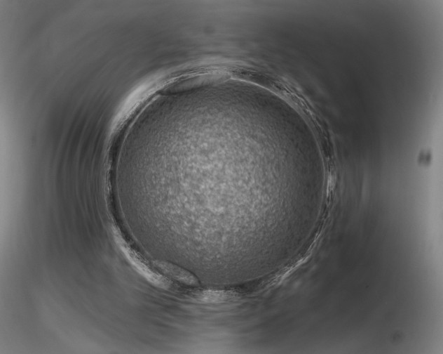 X0000116810101200912181354