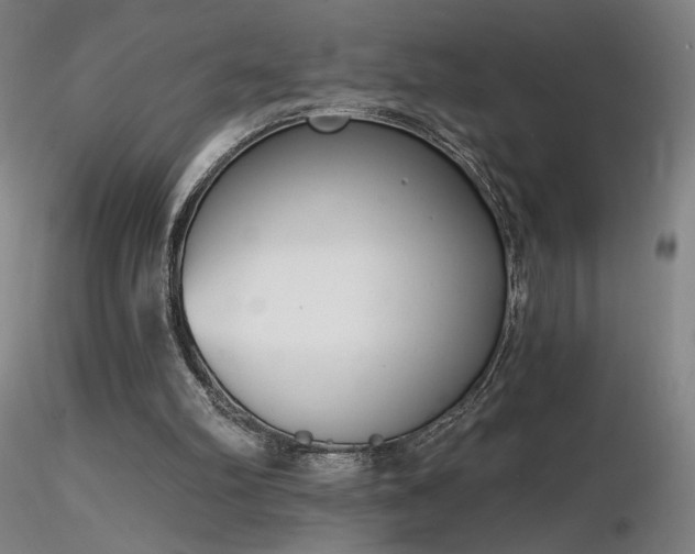 X0000116810102200912181354