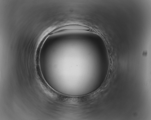 X0000116810104200912181354