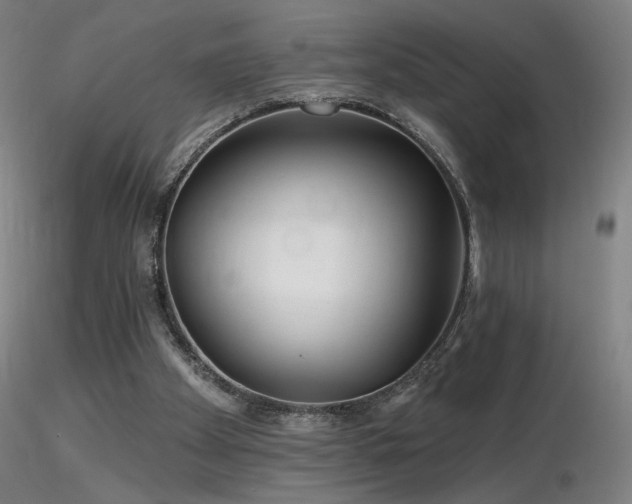 X0000116810105200912181354