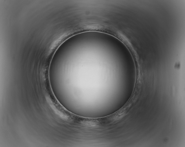 X0000116810106200912181354