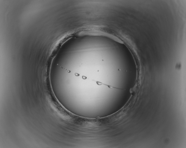 X0000116810107200912181354