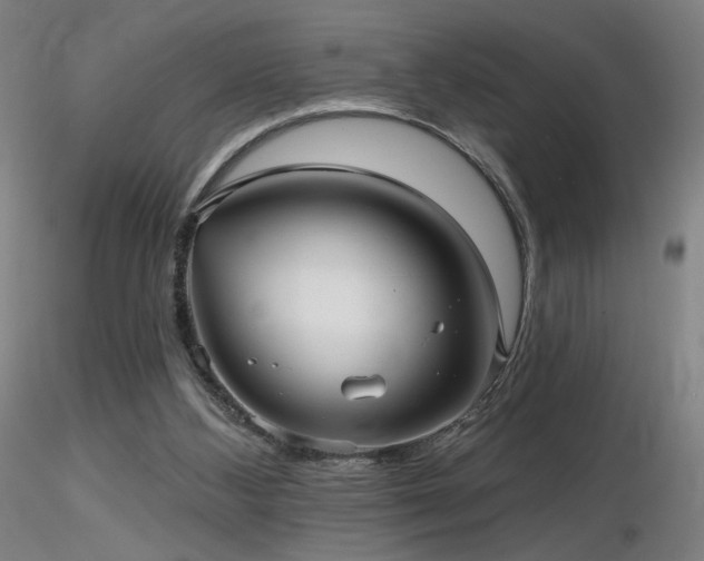 X0000116810108200912181354