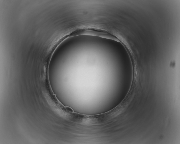 X0000116810109200912181354