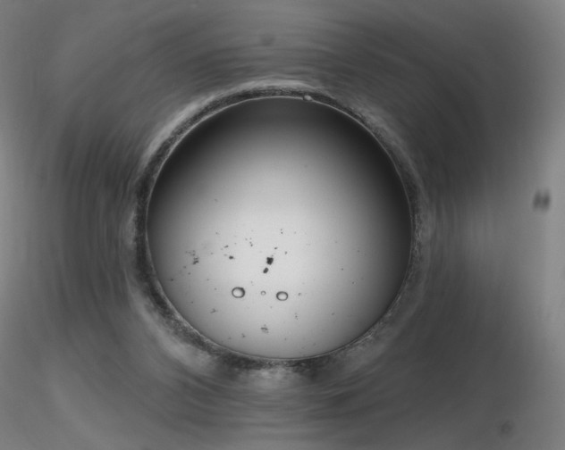 X0000116810112200912181354