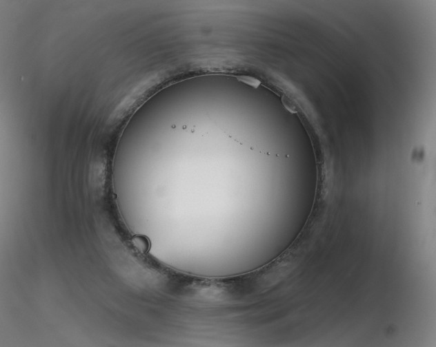 X0000116810113200912181354