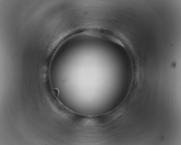 X0000116810115200912181354