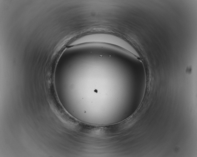 X0000116810116200912181354