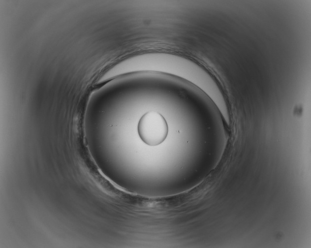 X0000116810117200912181354