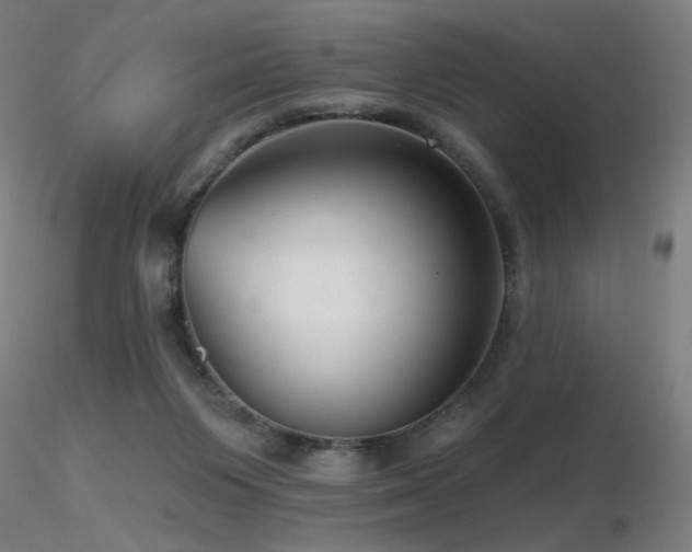 X0000116810119200912181354