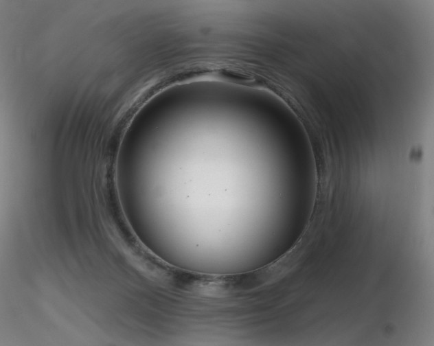 X0000116810120200912181354