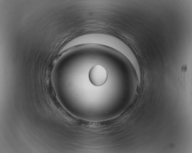 X0000116810121200912181353