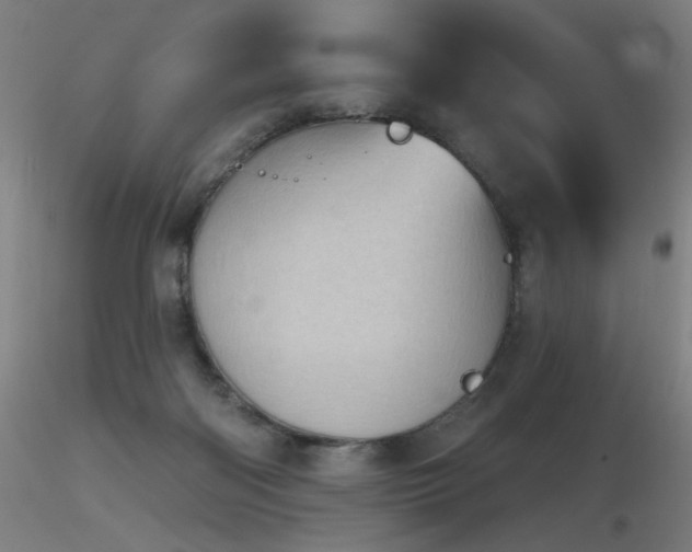 X0000116810122200912181353