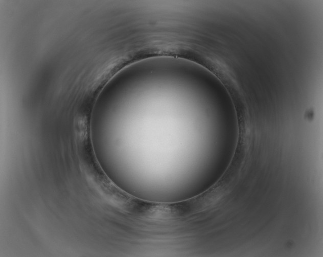 X0000116810123200912181353