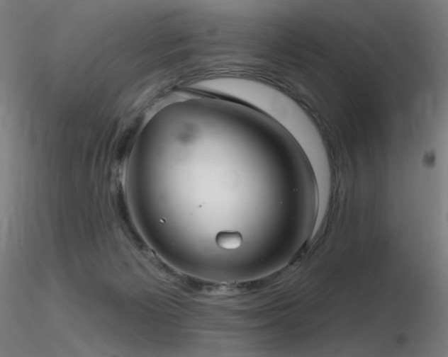 X0000116810125200912181353