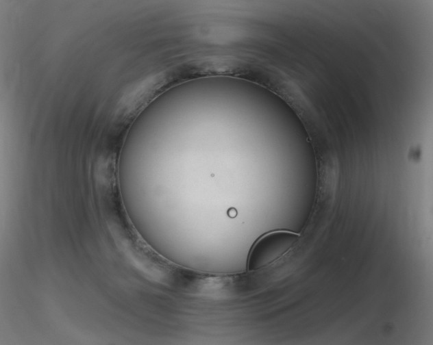 X0000116810126200912181353