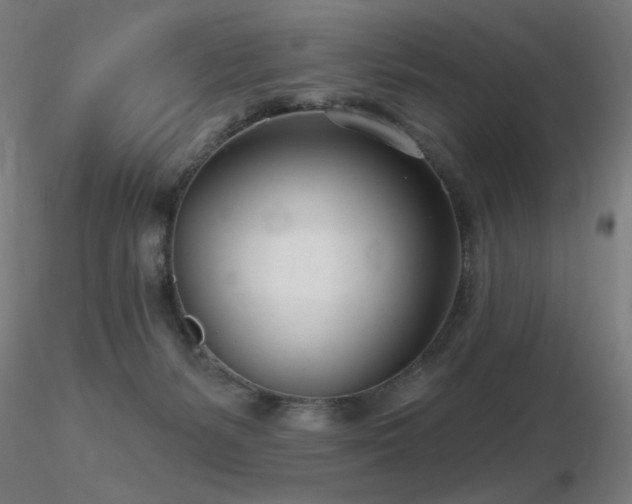 X0000116810127200912181353