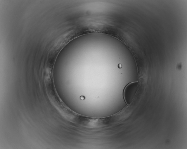 X0000116810130200912181353