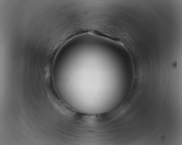 X0000116810131200912181353