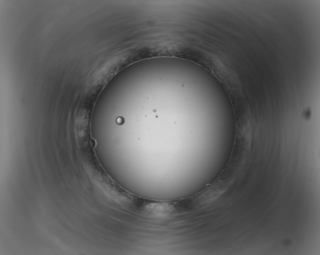 X0000116810133200912181353