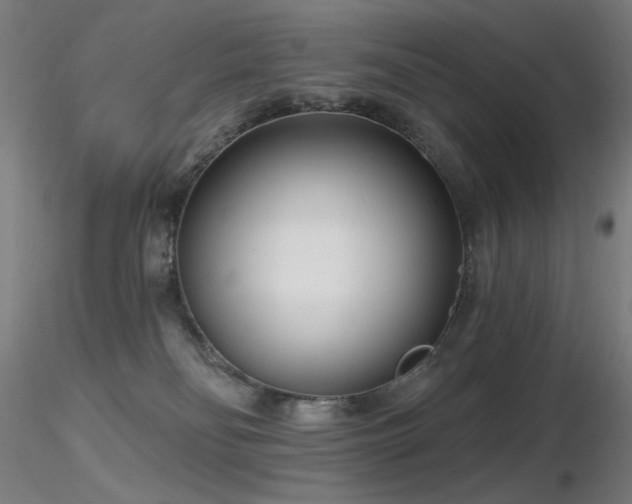 X0000116810134200912181353