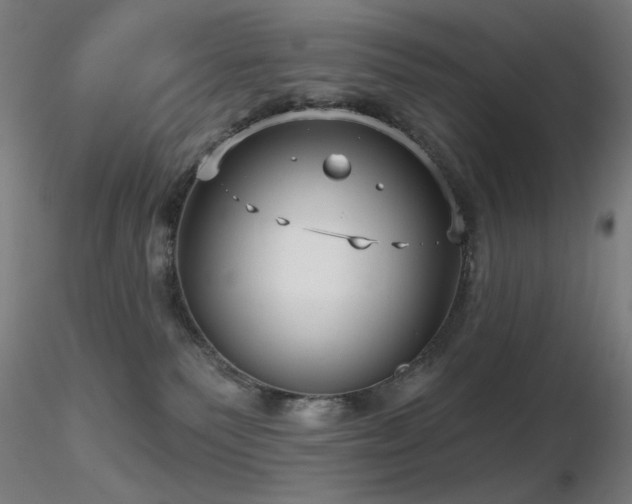 X0000116810135200912181353