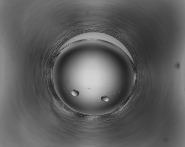 X0000116810136200912181353