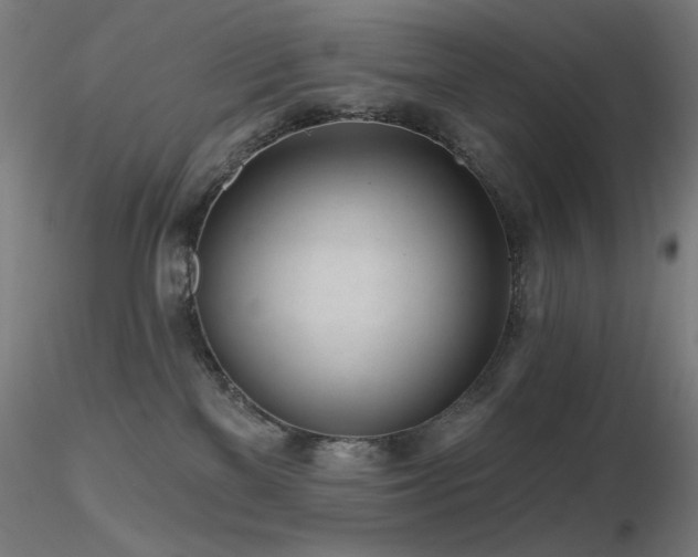 X0000116810137200912181353