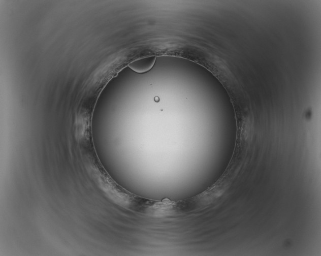 X0000116810138200912181353