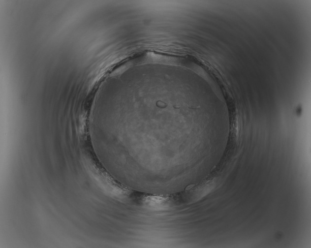 X0000116810139200912181353