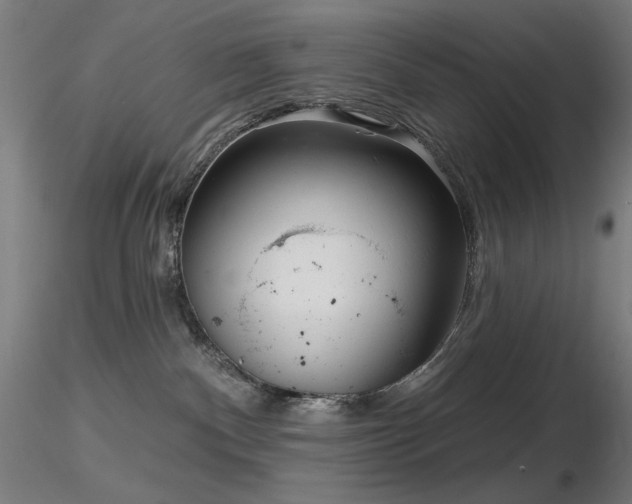 X0000116810140200912181353